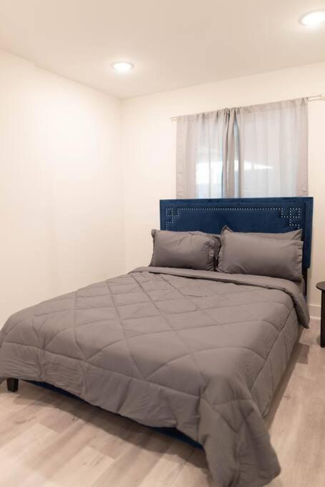 1br 1b Contemporary Chrome Escape *