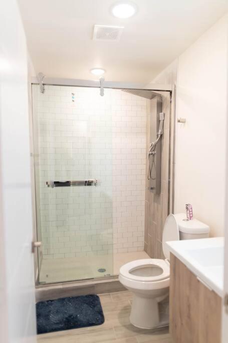 1br 1b Contemporary Chrome Escape Apartment Dallas